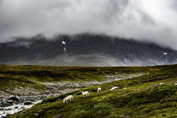 Comment trouver une croisière qui propose des séminaires sur la biologie marine en Méditerranée?