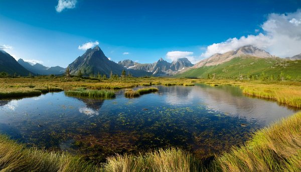 Comment découvrir les traditions textiles des Mayas au Guatemala?