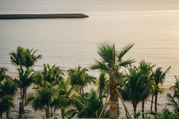 Comment organiser une visite des temples bouddhistes de Lumbini, Népal?